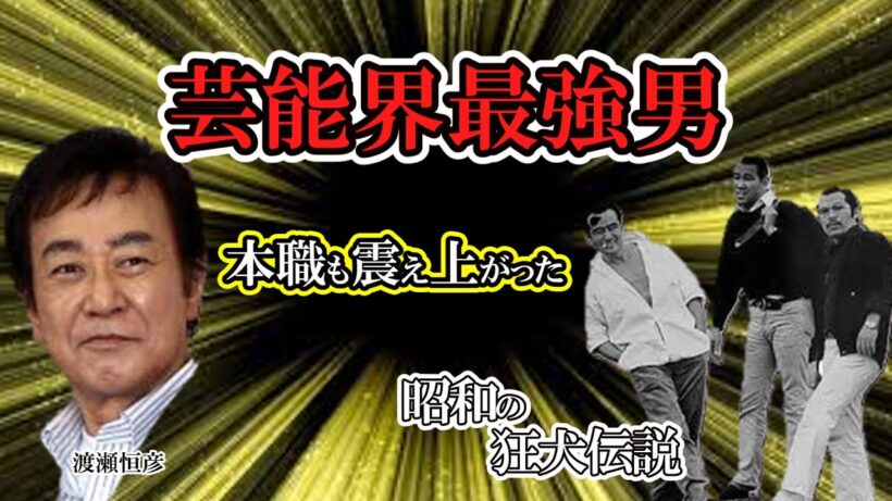 【渡瀬恒彦】昭和最凶の野良犬たち・・・・ピラニア軍団と血と友情の真実