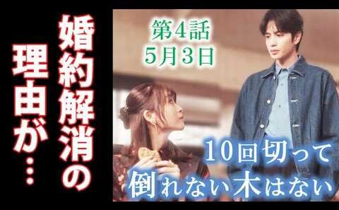 【10回切って倒れない木はない】4話 ミンソクの婚約者が日本に来たワケは？3話ドラマ感想、あらすじ、志尊淳、京本大我