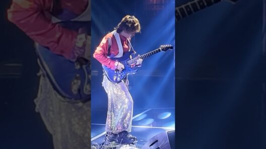 #ENDRECHERI #堂本剛 #FUNK #CustomGuitar