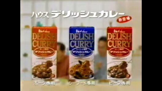 【懐かしCM】専用がおいしい　地井武男　柴俊夫　デリッシュカレー　ハウス食品