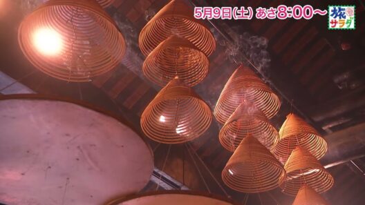 海外の旅はマカオ！ゲストの旅は勝村政信！「旅サラダ」5月9日（土）放送