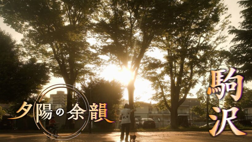 「夕陽の余韻」駒沢へ　2026年5月6日放送分