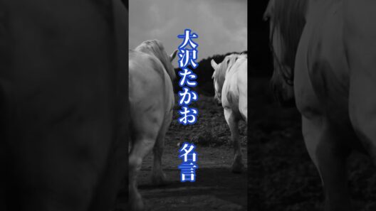 大沢たかお  名言