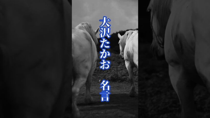 大沢たかお  名言