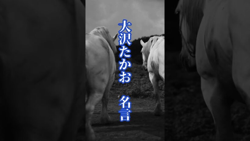 大沢たかお  名言