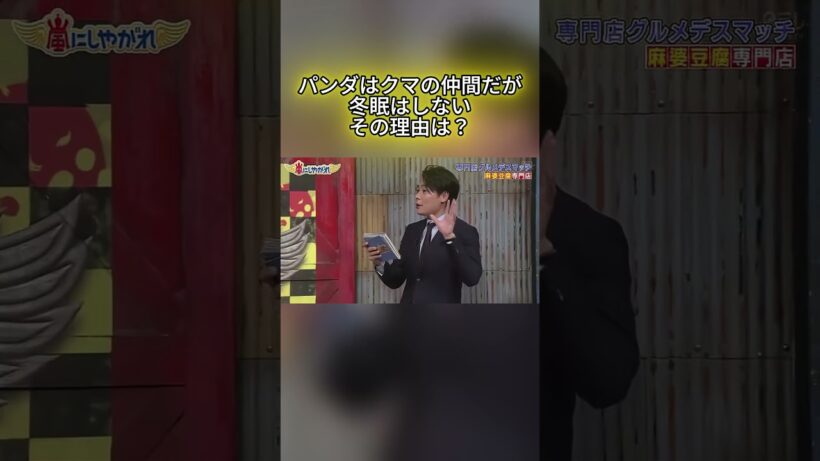 パンダはクマの仲間だが冬眠はしないその理由は？#嵐 #嵐にしやがれ #大野智 #二宮和也 #櫻井翔 #相葉雅紀 #松本潤