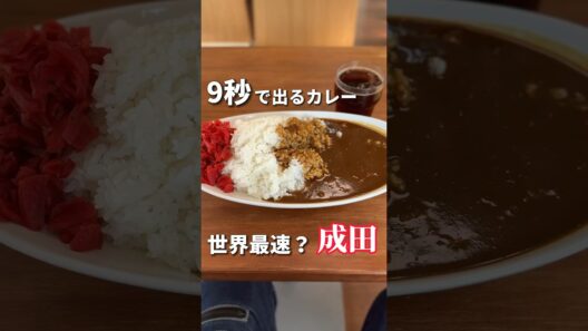 日本最速？9秒で出てくるカレーライスは本当に9秒なのか【千葉グルメ】9秒カレー