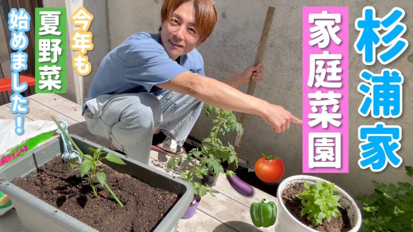 【家庭菜園2026】杉浦さん家のベジガーデン。野菜育てるよ〜！