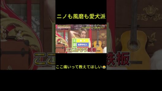 ニノ＆風磨「愛犬と話したい」浜辺美波の返しが天才的😂 #二宮和也 #浜辺美波 #愛犬 #ニノさん #風磨 #嵐 #ジャニーズ #可愛い #犬好き #動物トーク #爆笑 #日本テレビ