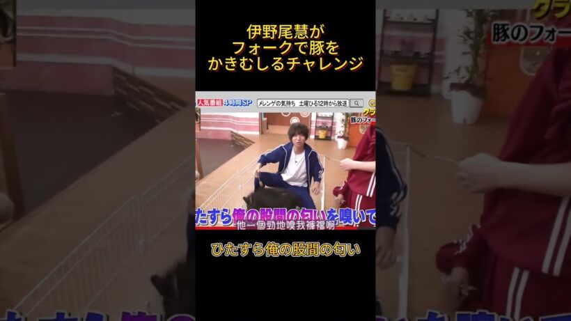 伊野尾慧がフォークで豚をかきむしるチャレンジ#面白い #funny #伊野尾慧