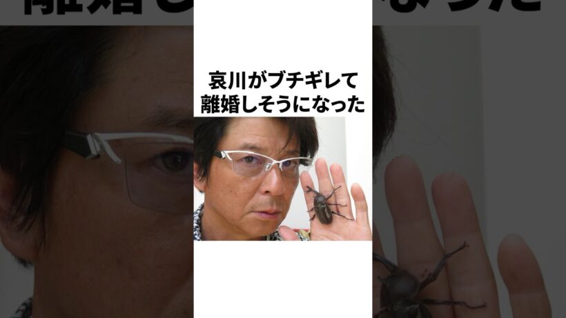 【一世風靡セピア】哀川翔の面白エピソード #雑学 #おもしろ