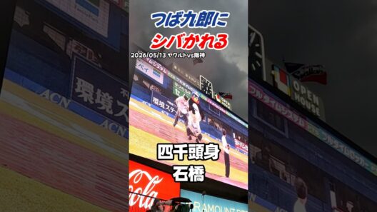 【悲報】四千頭身・石橋、つば九郎にシバかれるww 声が小さすぎて即愛の鞭！ #shorts