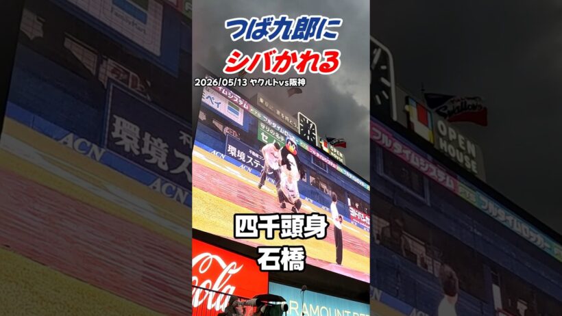 【悲報】四千頭身・石橋、つば九郎にシバかれるww 声が小さすぎて即愛の鞭！ #shorts