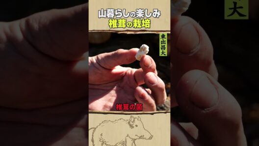東出昌大 / 椎茸の栽培