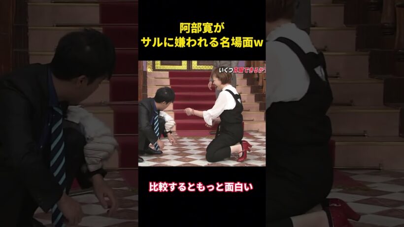 阿部寛がサルに嫌われる名場面w #お笑い #面白集#面白い #芸人 #千鳥