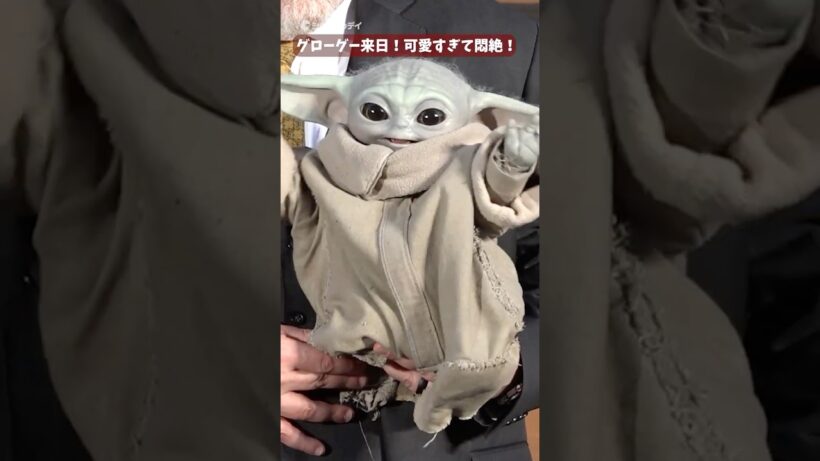 グローグー、本人の登場に会場悶絶！中島裕翔も驚き！『スター・ウォーズ/マンダロリアン・アンド・グローグー』#マンダロリアンアンドグローグー #ペドロパスカル #グローグー #中島裕翔 #shorts