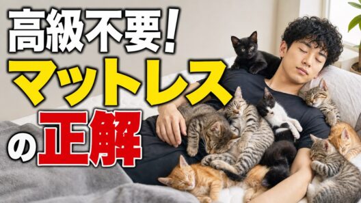 【アーカイブなし生放送】高級さは不要！マットレスの正解、など