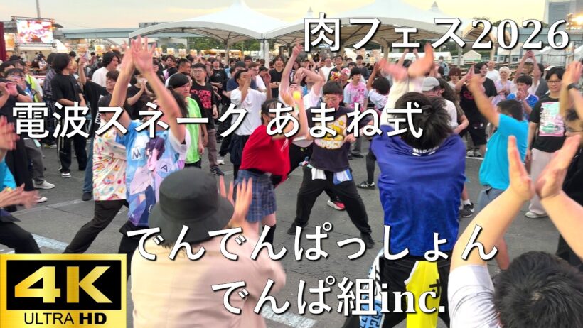 【肉フェス2026】でんでんぱっしょん(電波スネーク あまね式)／でんぱ組.inc【J-POP RAVE powered by ANTHEM AKIBA】4K撮影