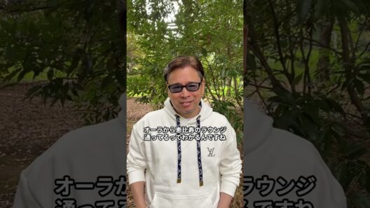 間宮祥太朗さんのオーラ🐳