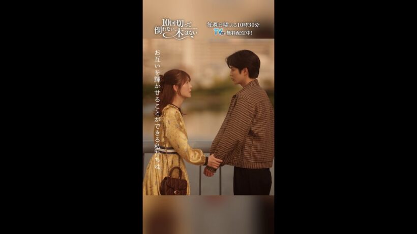 ミンソクにとっての最高のパートナーは映里じゃない…🥲『10回切って倒れない木はない』一第7話よりー #志尊淳 #長濱ねる #shorts