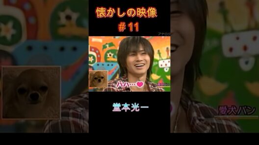 久しぶりのパンちゃん 懐かしの映像＃11 #堂本光一