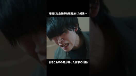 【毒親に社会復帰を邪魔された結果…】ドラマ「産まない女はダメですか？ DINKsのトツキトオカ」第９話より