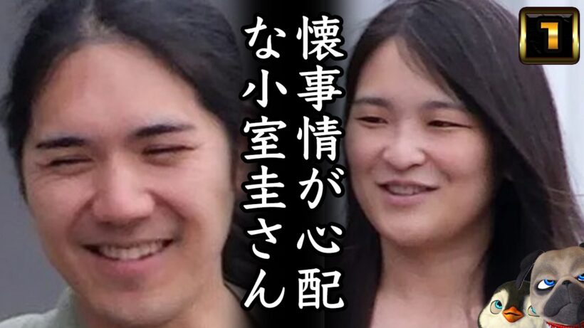 【小室圭】懐事情が心配な小室圭さん
