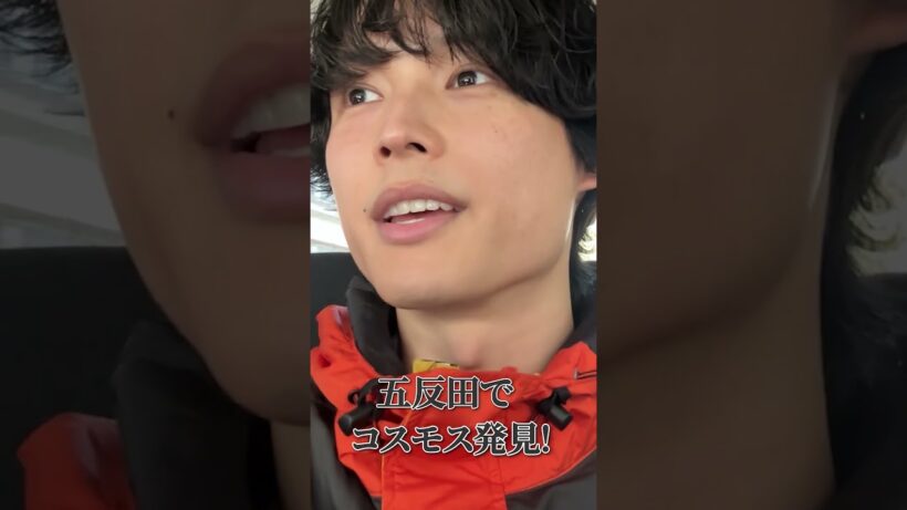SixTONES oﬃcial【季節外れのコスモス】疑惑のこーちフォト