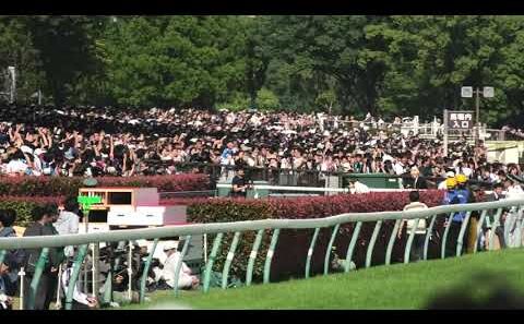 日本ダービー(GⅠ) レース前 氷川きよしさんによる国歌斉唱 君が代 2026/5/31 東京競馬場 11R