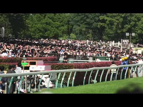 日本ダービー(GⅠ) レース前 氷川きよしさんによる国歌斉唱 君が代 2026/5/31 東京競馬場 11R