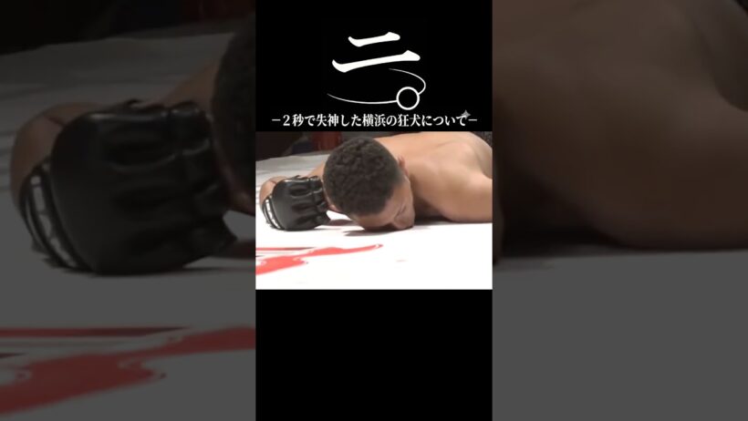 ニ。-2秒で失神した横浜の狂犬について- #黒石高大 #ブレイキングダウン #breakingdown