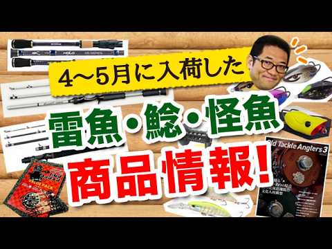 2026年4～5月に入荷した雷魚・ナマズ・怪魚系 商品情報！