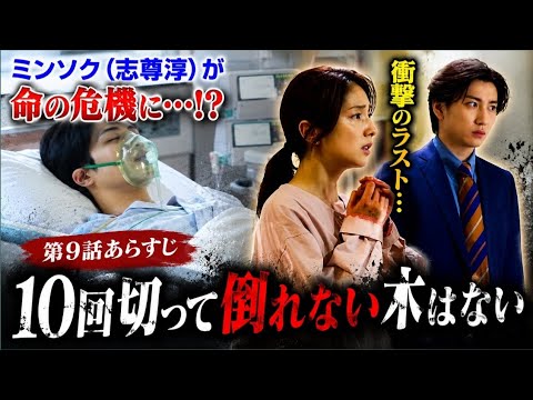 🔥衝撃展開🔥 ミンソク（志尊淳）が命の危機に…！？第9話ラストに視聴者騒然😱💔『10回切って倒れない木はない』最新あらすじ！