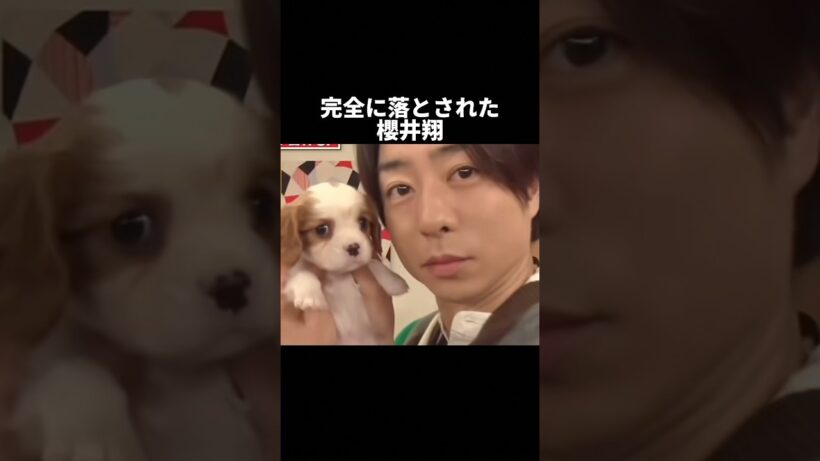 櫻井翔の魅力が尋常じゃねぇよ！ #櫻井翔
