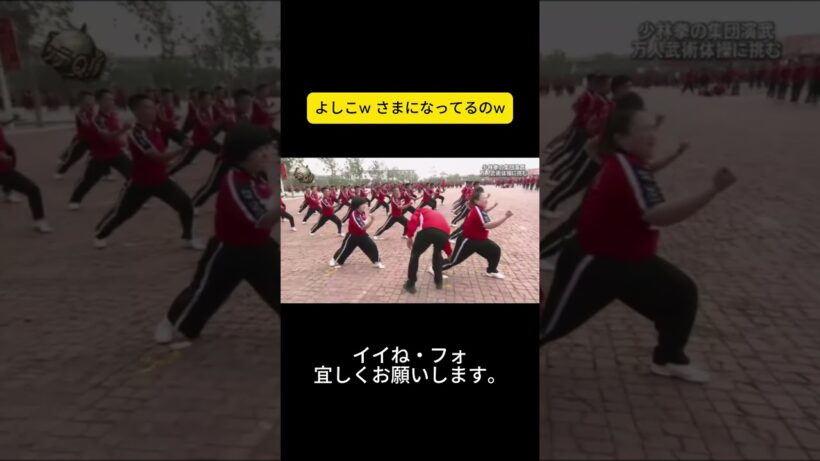 よしこw さまになってるのw #イッテQ #世界の果てまでイッテQ #内村光良 #宮川大輔 #大島美幸