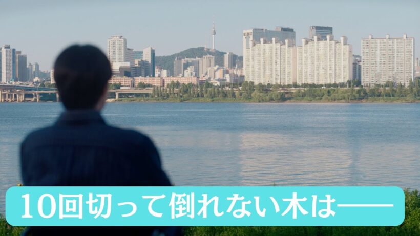 【最終話予告】主演：#志尊淳 日曜ドラマ『10回切って倒れない木はない』