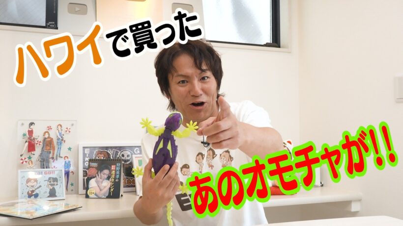 半年以上前ですが、ハワイで買ったあのオモチャです