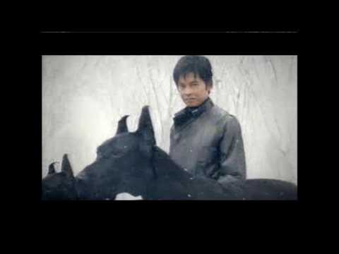 ヨコハマタイヤ アイスガードCM 織田裕二