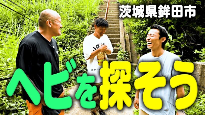 【捜索】野良のヘビって鉾田にまだいるの？【大自然】