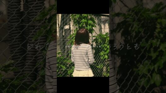 感情を沢山込めて「灰色と青 / 菅田将暉×米津玄師」Cover【こはならむ】