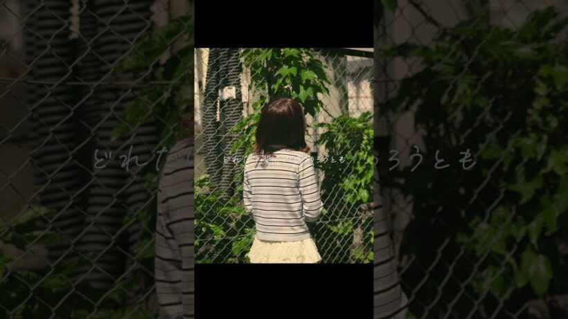 感情を沢山込めて「灰色と青 / 菅田将暉×米津玄師」Cover【こはならむ】