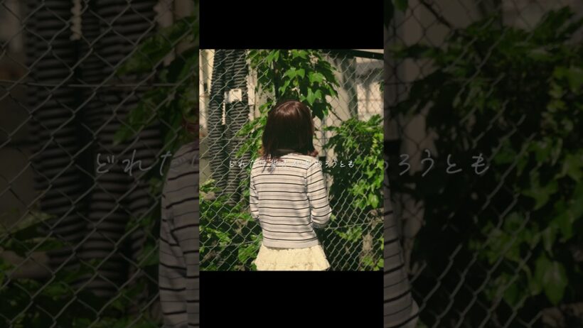 感情を沢山込めて「灰色と青 / 菅田将暉×米津玄師」Cover【こはならむ】