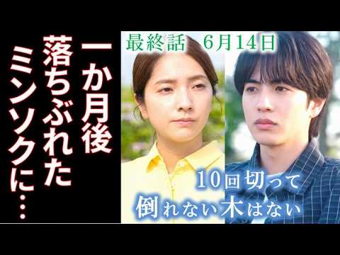 【10回切って倒れない木はない】最終話 別れから一カ月…落ちぶれたミンソクの…9話ドラマ感想、あらすじ、志尊淳、京本大我