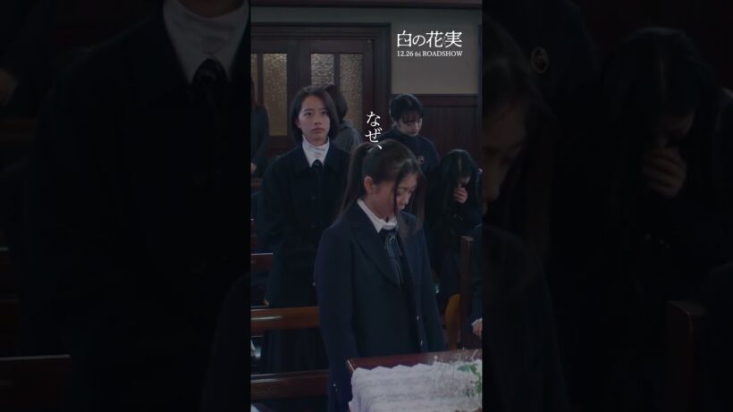 映画『白の花実』12/26(金)公開🥀✨ #美絽 #池端杏慈 #蒼戸虹子 #門脇麦 #映画完璧な少女は、なぜ飛び降りたのか？