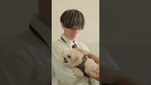永瀬廉と子犬 #永瀬廉 #キンプリ