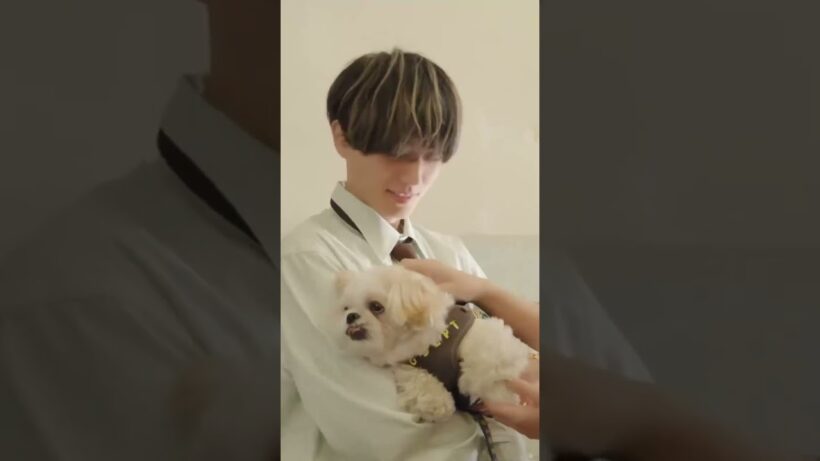 永瀬廉と子犬 #永瀬廉 #キンプリ