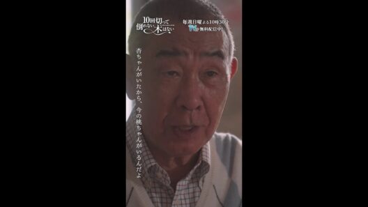 杏ちゃんがいたから今の桃ちゃんがいる🥺💕 風見先生はみんなのメンターだ！『10回切って倒れない木はない』一最終回よりー #入山法子 #でんでん #shorts