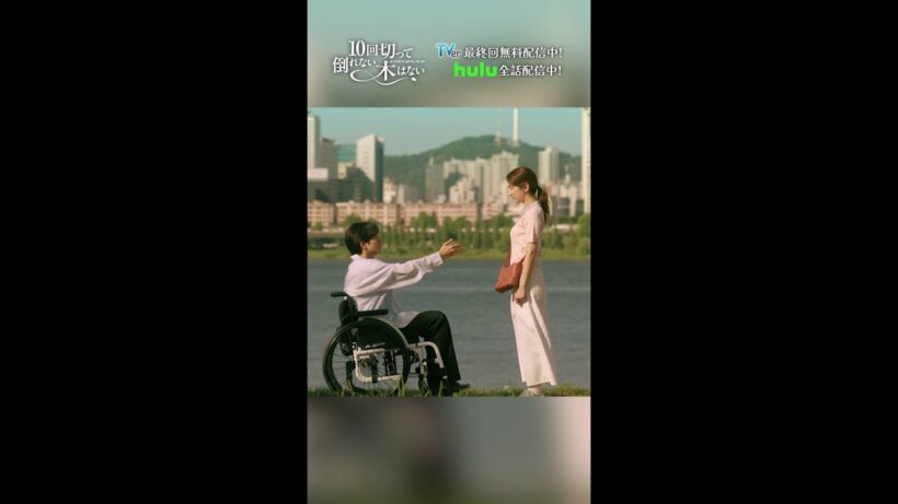もう絶対離れないでね😭😭💕『10回切って倒れない木はない』一最終回よりー #志尊淳 #仁村紗和 #shorts