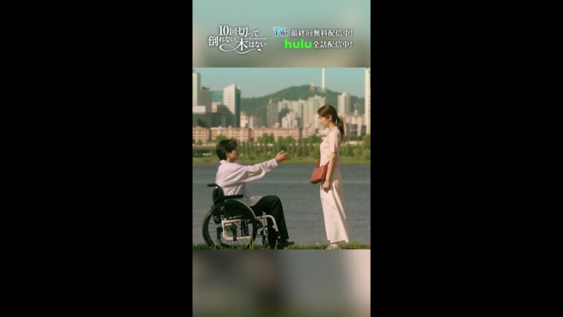 もう絶対離れないでね😭😭💕『10回切って倒れない木はない』一最終回よりー #志尊淳 #仁村紗和 #shorts