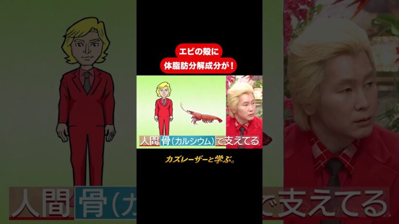 『カズレーザーと学ぶ。』【エビの殻に体脂肪分解成分が！】毎週火曜よる10時から放送中！#カズレーザーと学ぶ。#カズレーザー#切り抜き#shorts